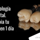 cerec en zaragoza