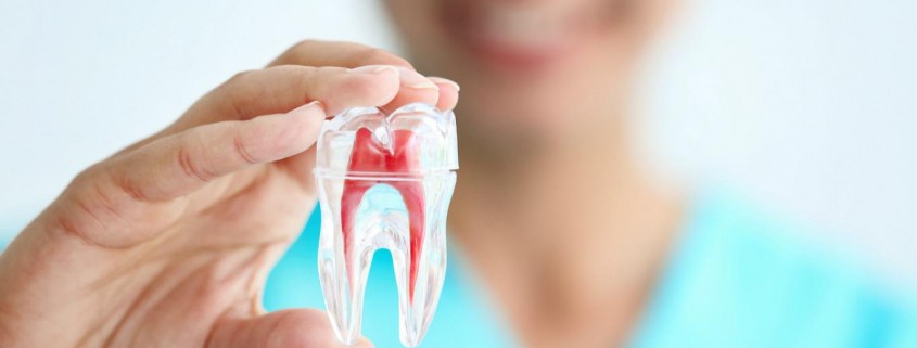 Estomatología y odontología en Zaragoza